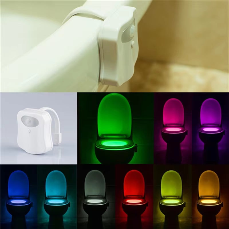 Toilet Night Light