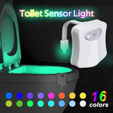 Toilet Night Light