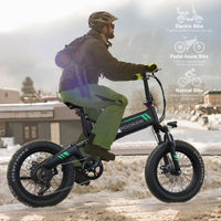 20"X4.0 Fat Tire Electric Bike for Adults, 500W Foldable Electric Bicycle with 48V 10Ah Built-In Battery, Shimano 7 Speed, Dual Shock Absorber