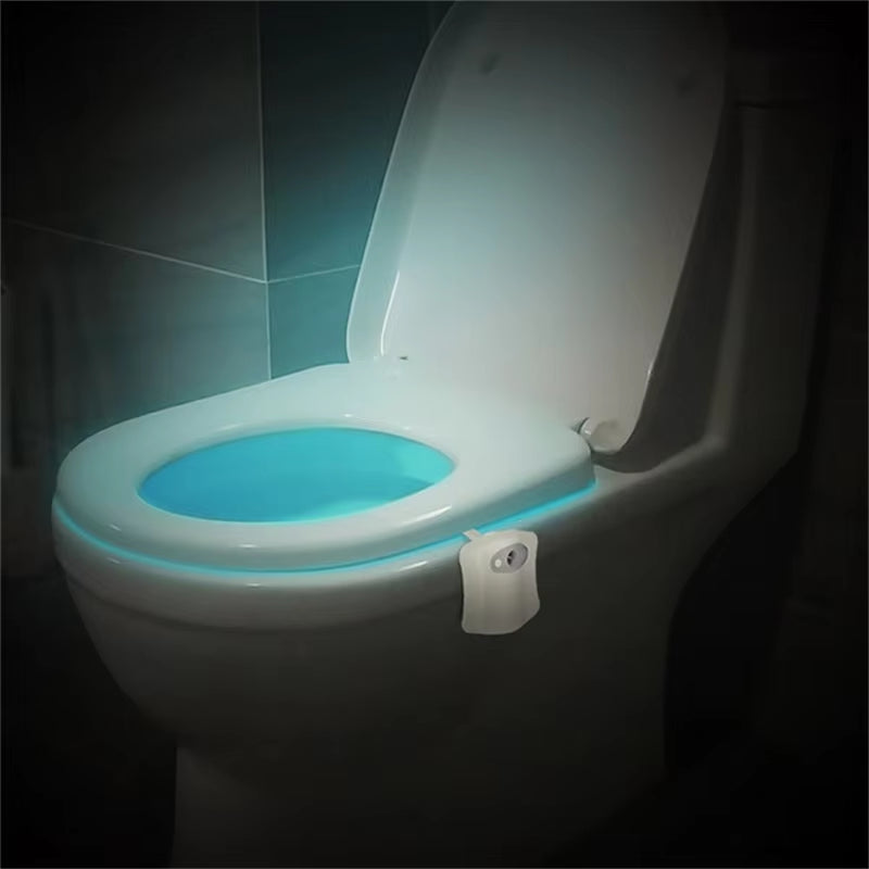 Toilet Night Light