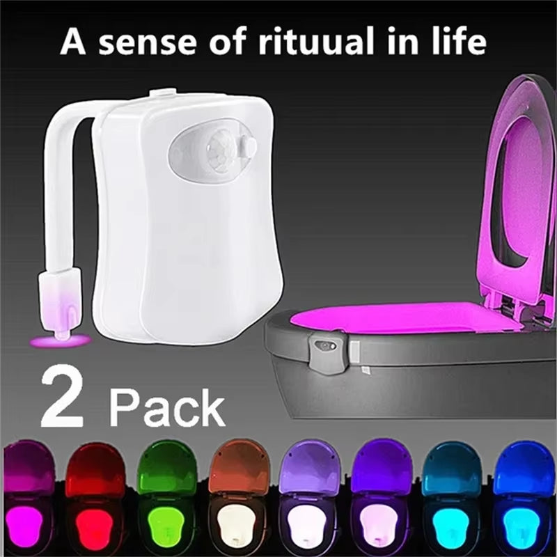 Toilet Night Light